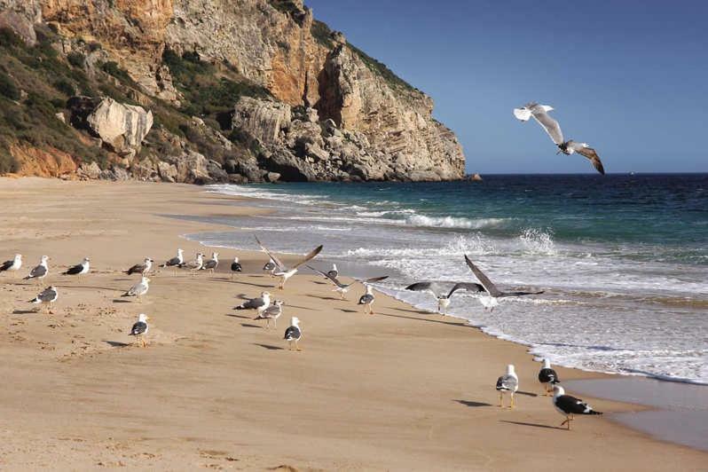 Apartmán Refugio De Zimbra Sesimbra Exteriér fotografie