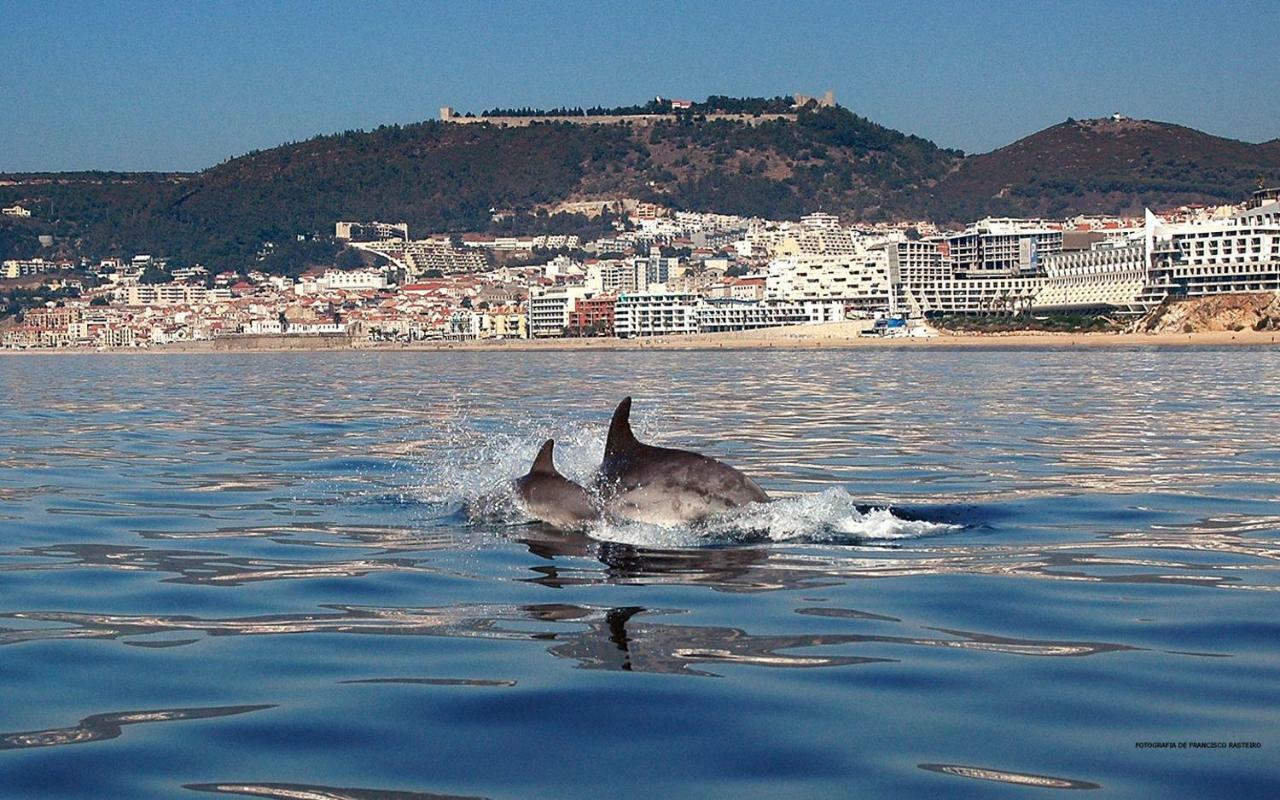Apartmán Refugio De Zimbra Sesimbra Exteriér fotografie